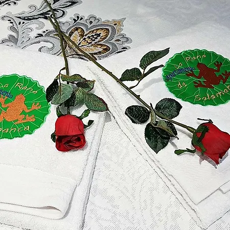 Apartamento Frog Salamanca