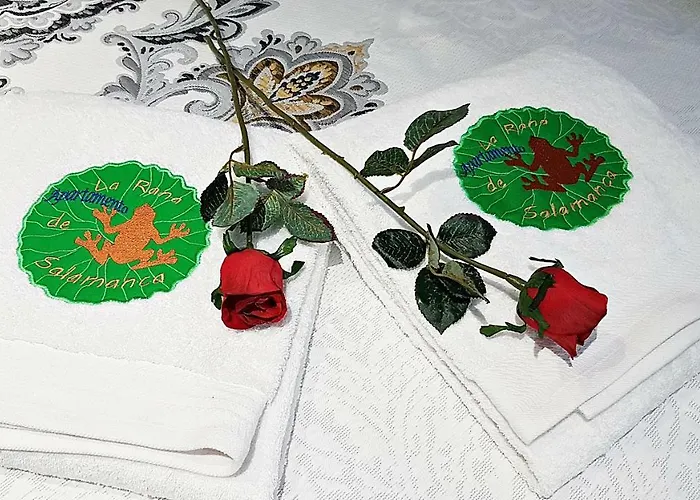 Apartmán Frog Salamanka